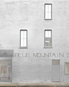 Blue Mountain School exterior render